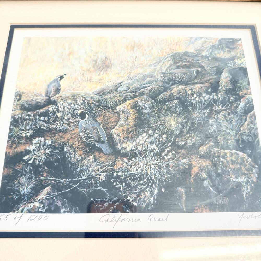 California Quail Painting by Edward Newbold Signed 55 of 1500 12 X 15.5 Frame - Picture 2 of 9